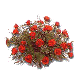 bouquet-da-sposa-immagine-animata-0015