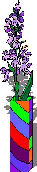 orchidea-immagine-animata-0006
