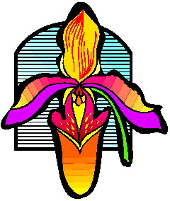 orchidea-immagine-animata-0009