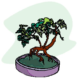 bonsai-immagine-animata-0024