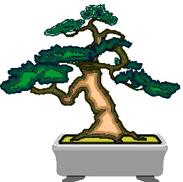 bonsai-immagine-animata-0048