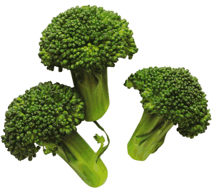 broccolo-immagine-animata-0008