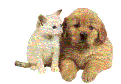 cane-e-gatto-immagine-animata-0027