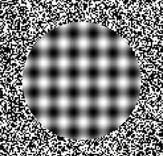 illusione-immagine-animata-0021