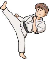 karate-immagine-animata-0026