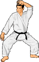 karate-immagine-animata-0049