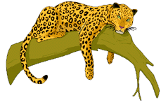 leopardo-immagine-animata-0010