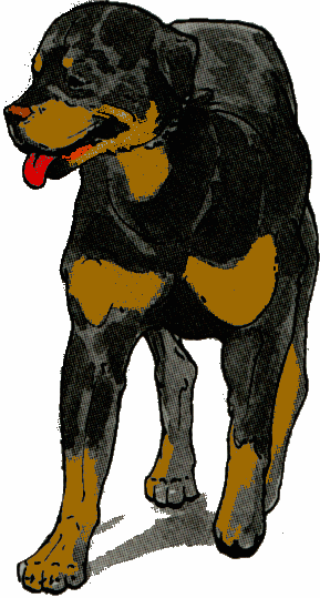 rottweiler-immagine-animata-0061
