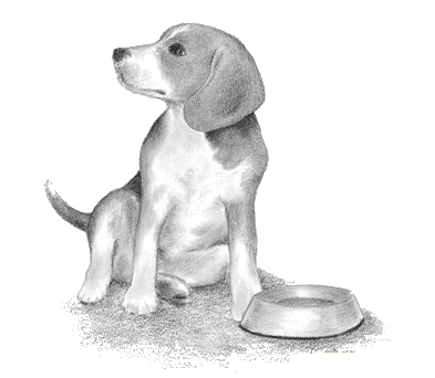 beagle-immagine-animata-0012