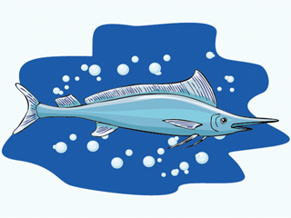 pesce-spada-immagine-animata-0004