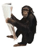 scimmia-immagine-animata-0162