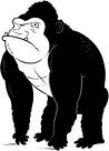 gorilla-immagine-animata-0023