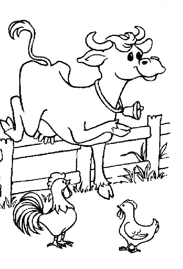 mucca-da-colorare-immagine-animata-0021