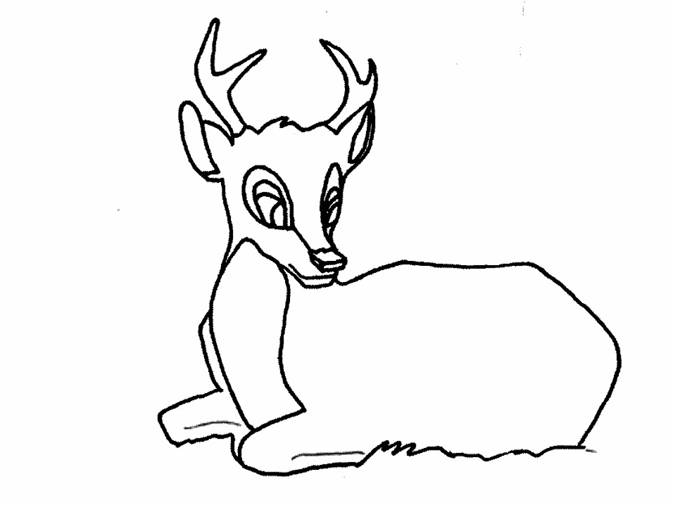 cervo-da-colorare-immagine-animata-0003