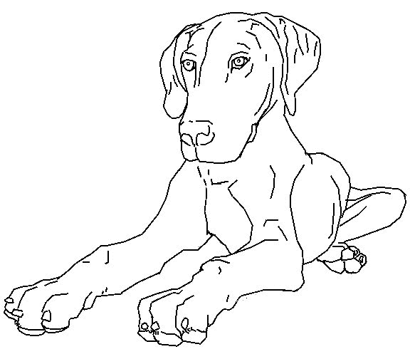 cane-da-colorare-immagine-animata-0007