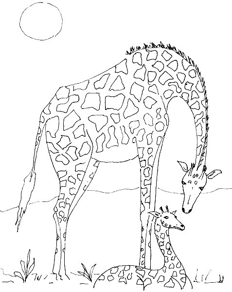 giraffa-da-colorare-immagine-animata-0007