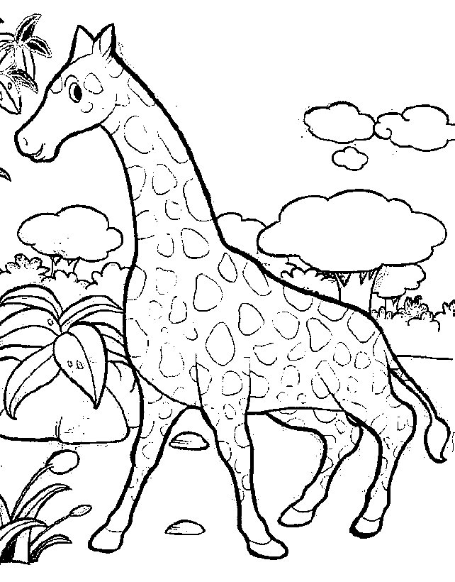 giraffa-da-colorare-immagine-animata-0008