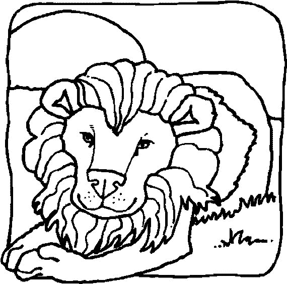 leone-da-colorare-immagine-animata-0008