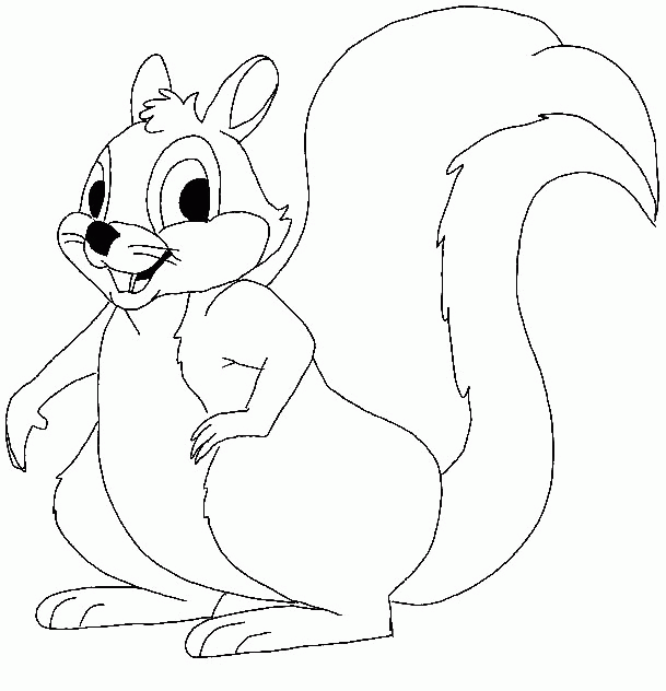 scoiattolo-da-colorare-immagine-animata-0018