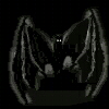 pipistrello-immagine-animata-0058