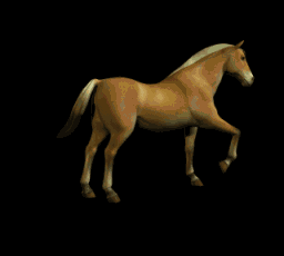 cavallo-immagine-animata-0060