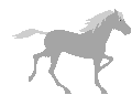 cavallo-immagine-animata-0074