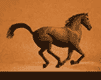 cavallo-immagine-animata-0234