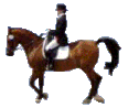 cavallo-immagine-animata-0352