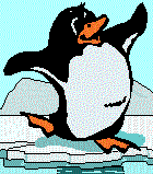 pinguino-immagine-animata-0009