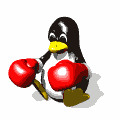 pinguino-immagine-animata-0023