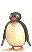 pinguino-immagine-animata-0047