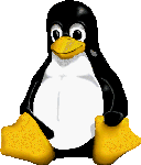 pinguino-immagine-animata-0064