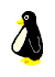 pinguino-immagine-animata-0123