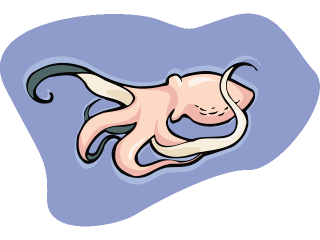 seppia-e-calamaro-immagine-animata-0025