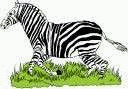 zebra-immagine-animata-0025