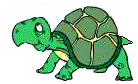 tartaruga-immagine-animata-0064
