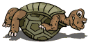 tartaruga-immagine-animata-0073