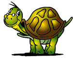tartaruga-immagine-animata-0154