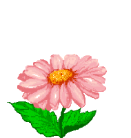 http://www.gifanimate.com/data/media/291/farfalla-immagine-animata-0344.gif