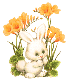 coniglio-immagine-animata-0332