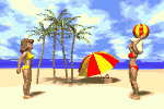 spiaggia-immagine-animata-0055