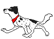 cane-dalmata-immagine-animata-0006