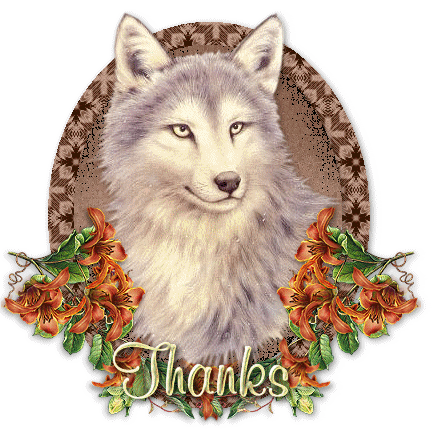 grazie-immagine-animata-0212