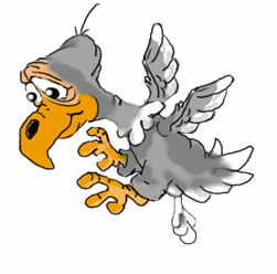 avvoltoio-immagine-animata-0008