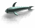 squalo-immagine-animata-0005