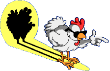 pollo-immagine-animata-0135