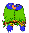 pappagallo-immagine-animata-0075