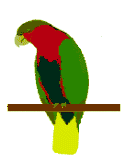 pappagallo-immagine-animata-0098