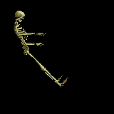 scheletro-immagine-animata-0018