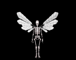 scheletro-immagine-animata-0098